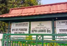 Fokus Pemadaman, Perhutani Lawu DS Tutup Sementara Pendakian via Cemoro Sewu