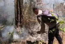 Gerak Cepat 50 Petugas Gabungan Cegah Api Meluas di Lereng Lawu