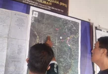 Kebakaran Gunung Lawu Merembet ke Ngawi, Tiga Titik Api Masih Terpantau