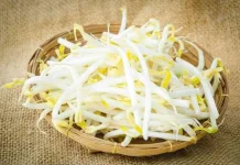 Manfaat Tauge untuk Kesehatan Tubuh