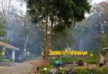Seluruh Jalur Pendakian Gunung Lawu Ditutup hingga Waktu yang Belum Ditentukan