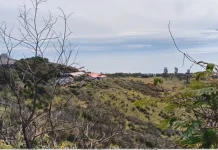 Tak Hanya Menutup Pendakian, Seluruh Pedagang di Puncak Lawu Diminta Turun