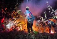 Gunung Bancak Magetan Terbakar Lagi, Petugas Padamkan Api dengan Cara Manual