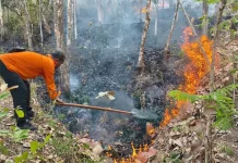 Tiga Kebakaran Landa Kawasan Gunung Bancak Magetan dalam Sehari