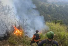 Medan Curam Hambat Pemadaman Kebakaran Lahan di Singolangu Magetan