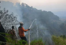 Kebakaran di Singolangu Magetan Hanguskan 4 Hektare Lahan