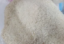 Stok Beras di Gudang Bulog Ponorogo Aman, Masyarakat Diimbau tak Panik