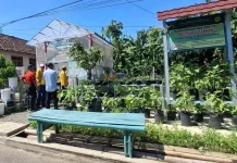 P2L Kota Madiun Dorong Hasil Pekarangan Jadi Sumber Ekonomi Warga
