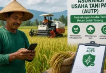 Antisipasi Kerugian Petani Melalui Program Asuransi Usaha Tani Padi
