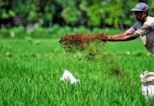 DKPP Kota Madiun Dorong Pemulihan Kesehatan Tanah lewat Penggunaan Pupuk Organik