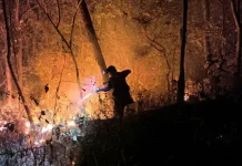 Lima Hektare Lahan Hutan Rakyat di Gunung Bancak Magetan Terbakar