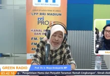 Kenali Perbedaan Hama dan Musuh Alami untuk Pertanian Berkelanjutan