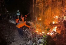 Data Kebakaran Berbeda, PDIP Magetan Dorong Pemkab Konsolidasikan Data