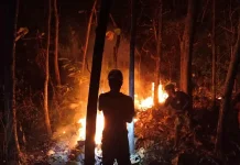 PDI Perjuangan Magetan Serukan Kader Bantu Penanganan Karhutla