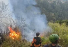 Meluas di 14 Kecamatan, Karhutla di Magetan Menuai Keprihatinan