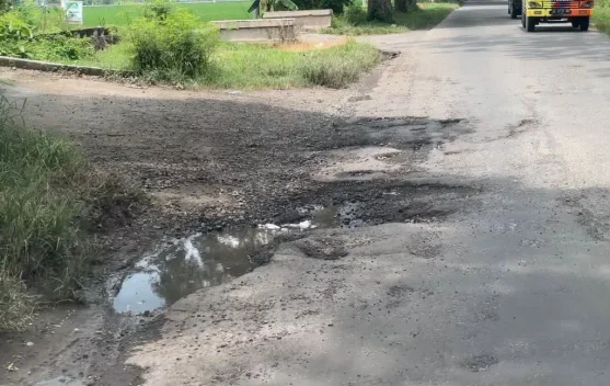Perbaikan Jalan Berlubang Dikebut, Pemkab Ngawi Akui Ada Kendala Anggaran