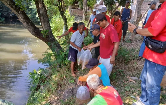 Gerakan Merawat Pertiwi, PDIP Magetan Tebar Benih Ikan untuk Jaga Ekosistem Sungai