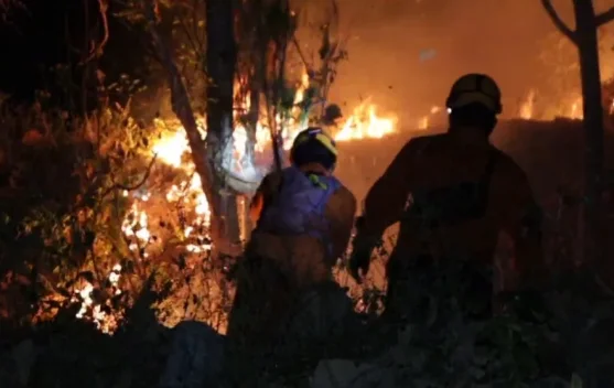 Lima Hektare Hutan Rakyat di Balong Ponorogo Terbakar