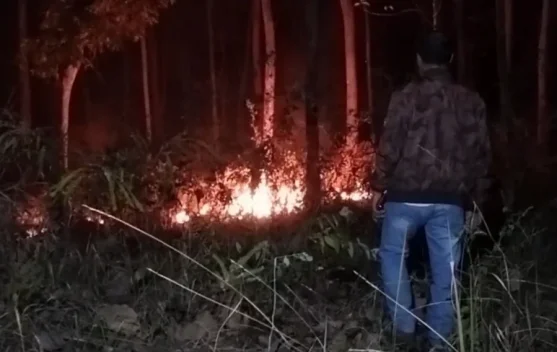 Karhutla Kembali Terjadi di Sampung Ponorogo, Dua Hektare Lahan Terbakar