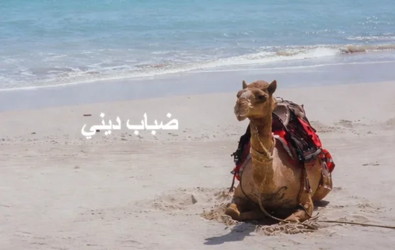 Clever Moose Rilis Single nuansa Arabian Groove Disco Bertajuk "Dhabab Dhini"