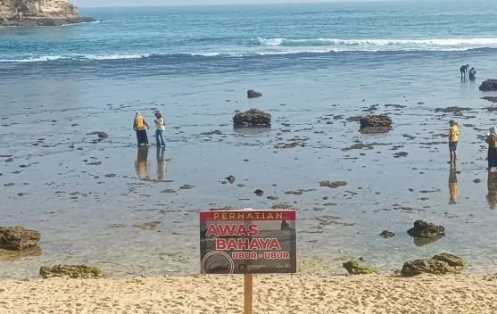 Ancaman Ubur-ubur di Pantai Selatan, Disparbupora Pacitan Ingatkan Wisatawan