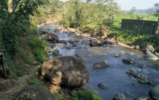 Menjaga Ekonomi Desa Belajar dari Sungai di Wana Wisata Grape