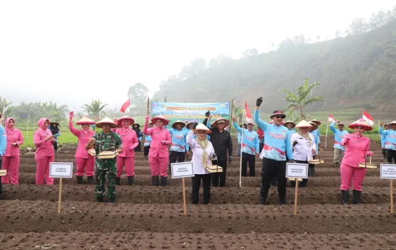 Tanam 20 Hektare Bawang Putih, Magetan Kejar Swasembada Nasional