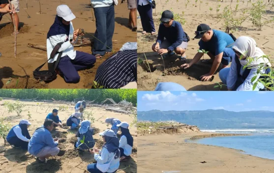 Berburu Spot Foto di Watumejo Mangrove Park Pacitan Sembari Jaga Lingkungan