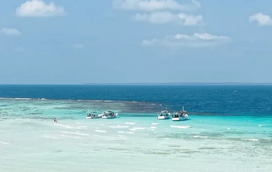 Pulau Cemara, Surga Kecil Di Karimunjawa