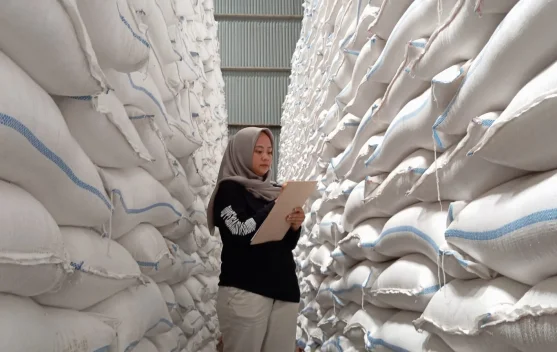 Hadapi Kemarau Panjang dan El Nino, Bulog Madiun Jamin Stok Beras Aman