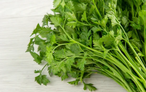Kenapa Ada yang Suka dan Tidak Suka Daun Ketumbar?