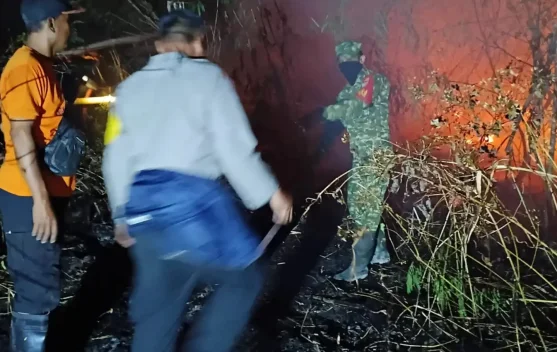 2 Unit Damkar Dikerahkan, Aparat Gabungan Padamkan Api di Lahan Kosong ...