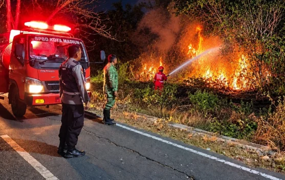Kebakaran Rumpun Bambu di Kelun, Diduga Dipicu Puntung Rokok - RRI.co.id