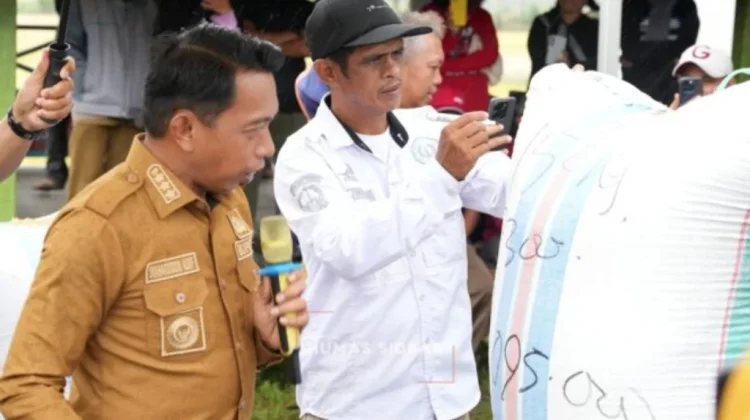 Bupati Sidrap Panen Raya di Pitu Riase