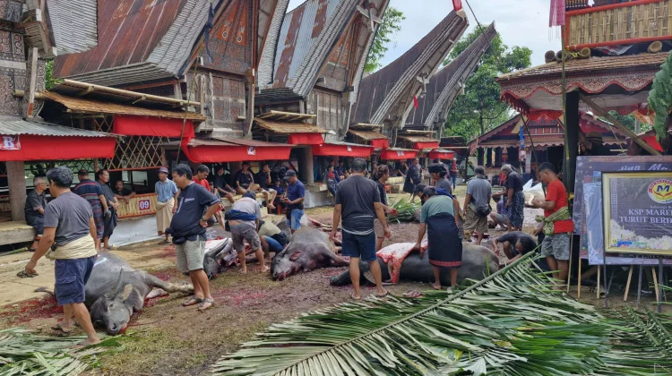 Toraja Gabung Luwu Raya, Tokoh Masyarakat Paparkan Keuntungannya