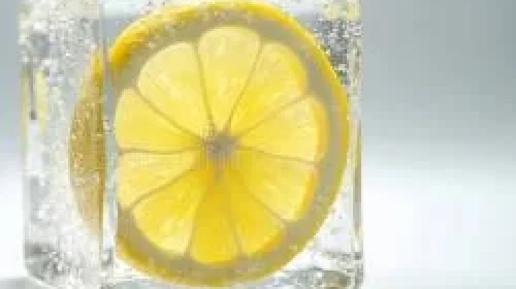 Sensasi Dingin Lemon Beku: Kesegaran Alami di Setiap Tetesnya