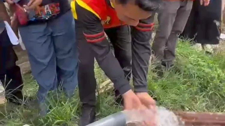 Bupati Sidrap Tinjau Program Listrik Masuk Sawah