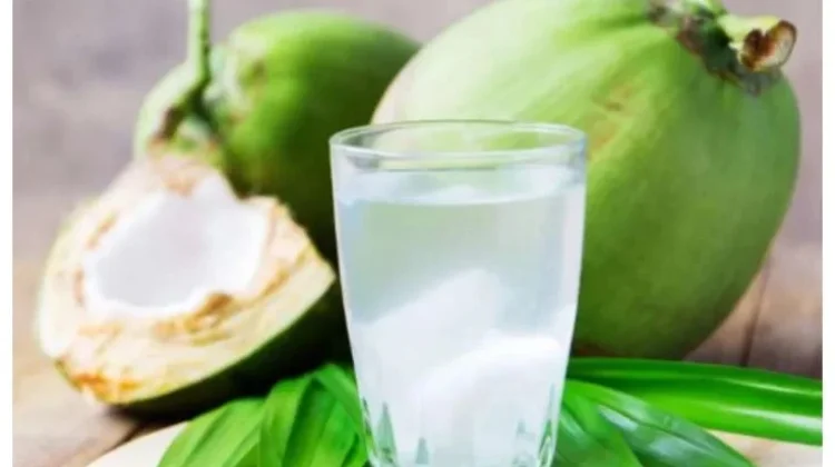 Manfaat Minum Air Kelapa Muda untuk Kesehatan
