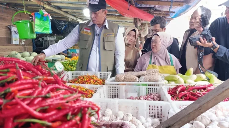 Pemprov Sulsel: Harga Bahan Pokok tidak Pengaruhi Inflasi Sulsel
