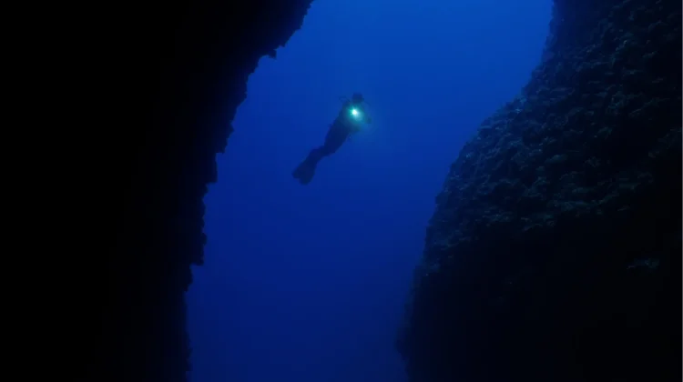 Thalassophobia, Ketakutan Terhadap Danau dan Dunia Bawah Laut