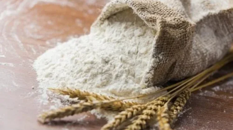 Mengenal Gluten dan Kesehatan Pencernaan dalam Olahan Terigu