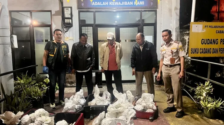 Karantina Sulsel Amankan 53 Ekor Kepiting Kenari dari Bau-Bau