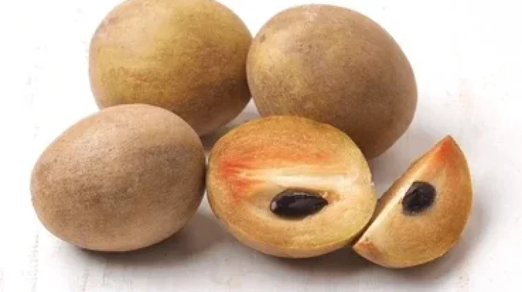 Manfaat Buah Sawo bagi Kesehatan, Kaya Nutrisi dan Digemari Masyarakat