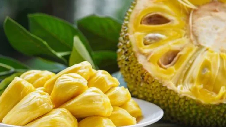 Nangka Muda Menjadi Pengganti Daging Lezat dan Sehat untuk Diet Plant-Based
