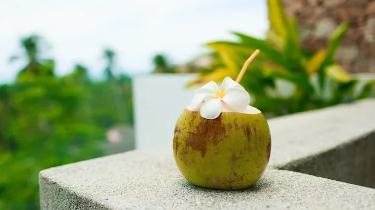 Waktu Terbaik Minum Air Kelapa agar Nutrisi Optimal