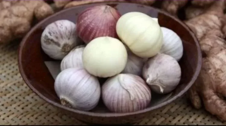 Manfaat Bawang Putih Bakar, untuk Kesehatan