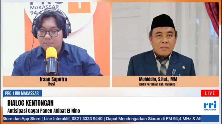 Pengolahan Hasil Panen Jadi Kendala Kabupaten Pangkep