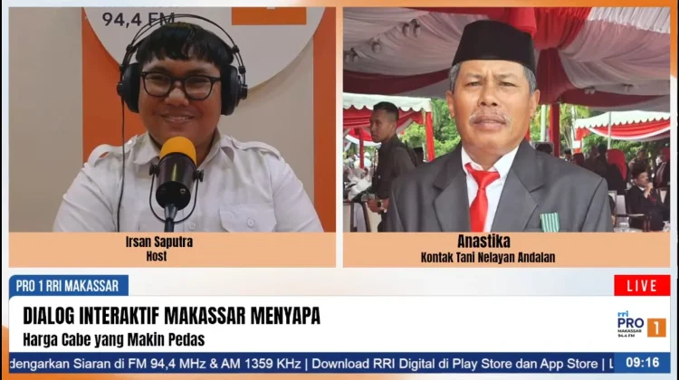 Harga Cabai Melonjak, Petani Sulsel Sambut sebagai Angin Segar