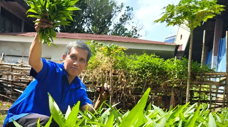 Kecamatan dan Kelurahan di Makassar tengah Siapkan Lahan Urban Farming
