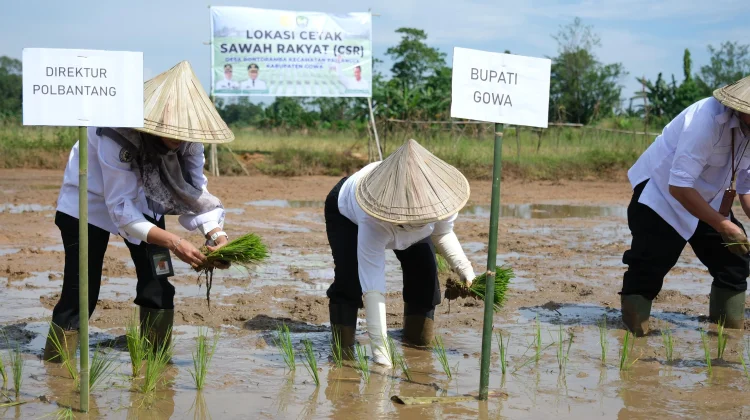 Dorong Swasembada Pangan, Bupati Gowa Optimalkan Program Cetak Sawah Rakyat